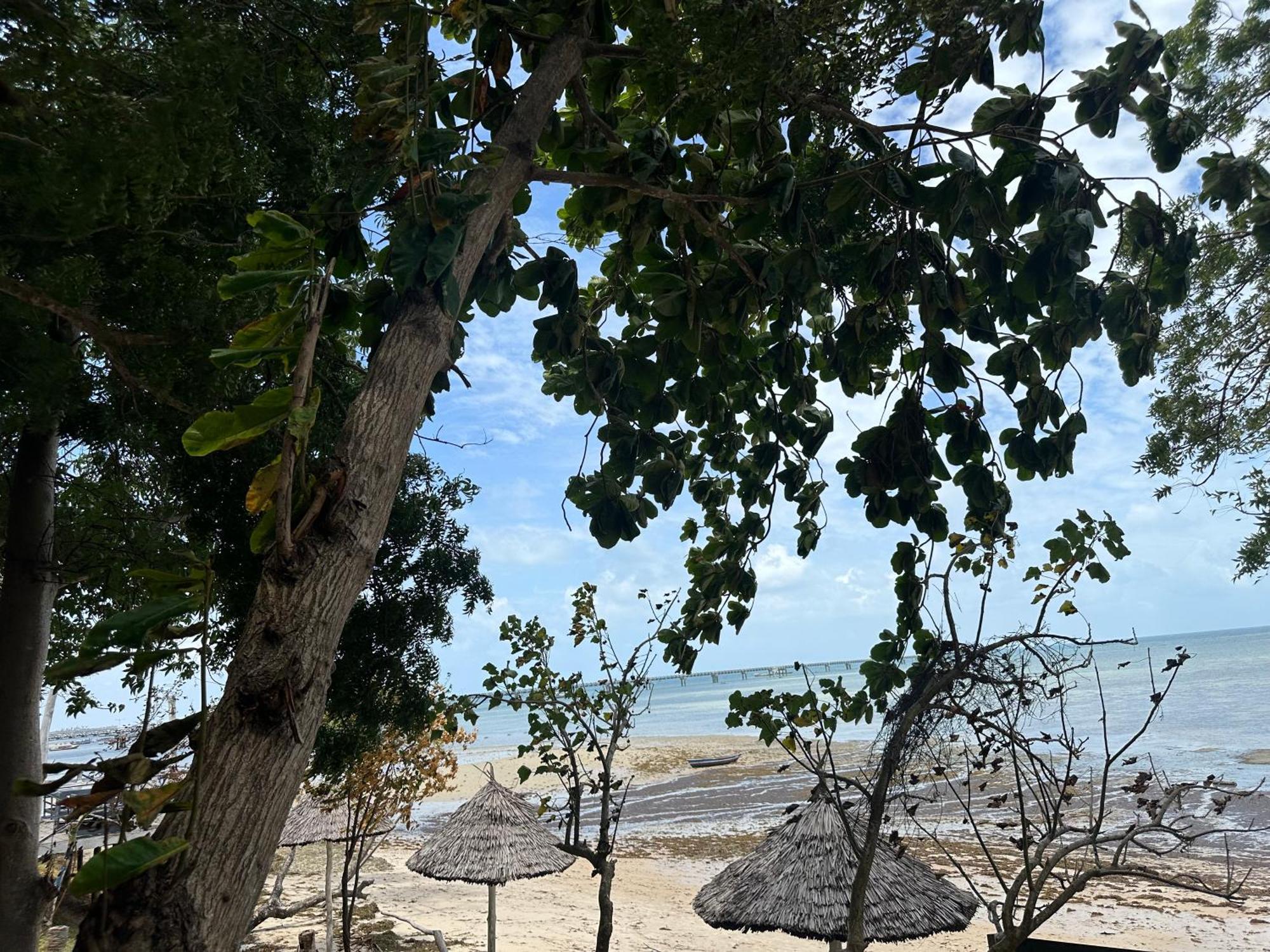 Maweni Beach Bungalows Kilindoni Εξωτερικό φωτογραφία